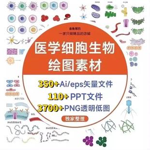 医学细胞生物绘图AI素材DNA实验仪器3D设计矢量图标志图标化学ppt