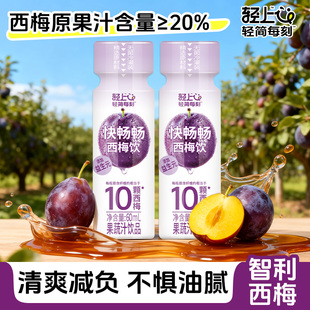 西梅饮汁0添加蔗糖高膳食纤维便携饮品 椰泰轻上益生元 5瓶特惠