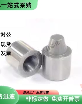 圆锥定位销PAP21-D12 D12C D16 D20 PAP11 PAP01-D20 D25 D30