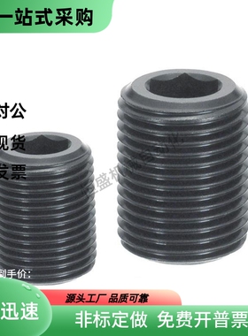 PAF01碳钢细牙内六角调整螺丝LVW12/16/20/24/30-10/20/40LVFW