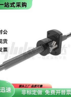 滚珠丝杆LCL49-15-5 10 20-L150 L200 L300 L400-F15 F30-P6 P10