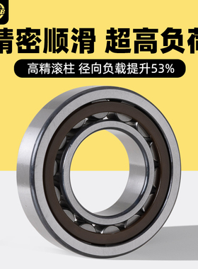 进口EVB圆柱滚子轴承NJ2204NU2205N2206NF2207NUP2208 2209EM2210