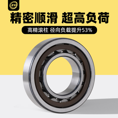 进口EVB圆柱滚子轴承NJ2204NU2205N2206NF2207NUP2208 2209EM2210