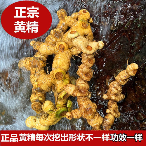 深山黄精姜型多花黄精老虎姜中药材正品10年特产非九蒸九晒