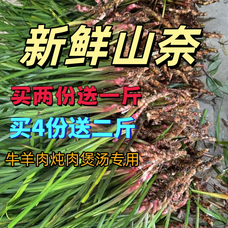 贵州新鲜五香草鸡香草去腥提香大叶菜类