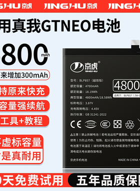 (增加续航)品质京虎适用于真我GT NEO电池扩容大容量可拆卸内置手机电池高容增强版魔改旗舰版BLP857非原装
