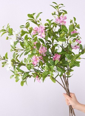 仿真花桃金娘捻子叶仿真绿植小清新假花家居客厅酒店插花装饰