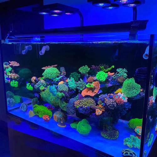 海缸膜海缸贴膜海水缸珊瑚缸过滤蓝光去蓝光膜海缸拍照滤镜玻璃膜