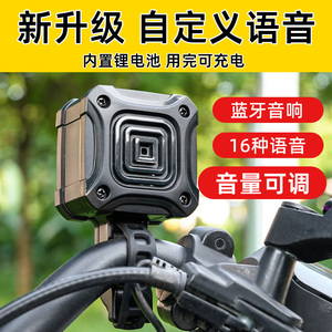 自定义大小姐驾到通通闪开喇叭语音免安装自行车电瓶车自行车搞笑