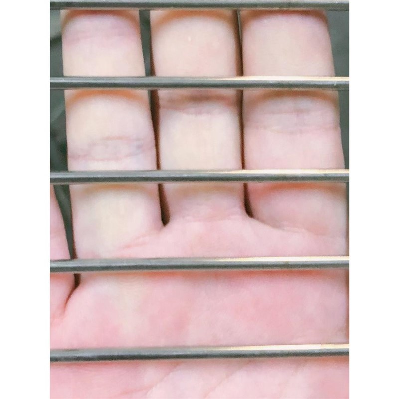 定制304 不锈钢网钢丝网加粗焊接网片钢丝网格钢筋筛网防护网片