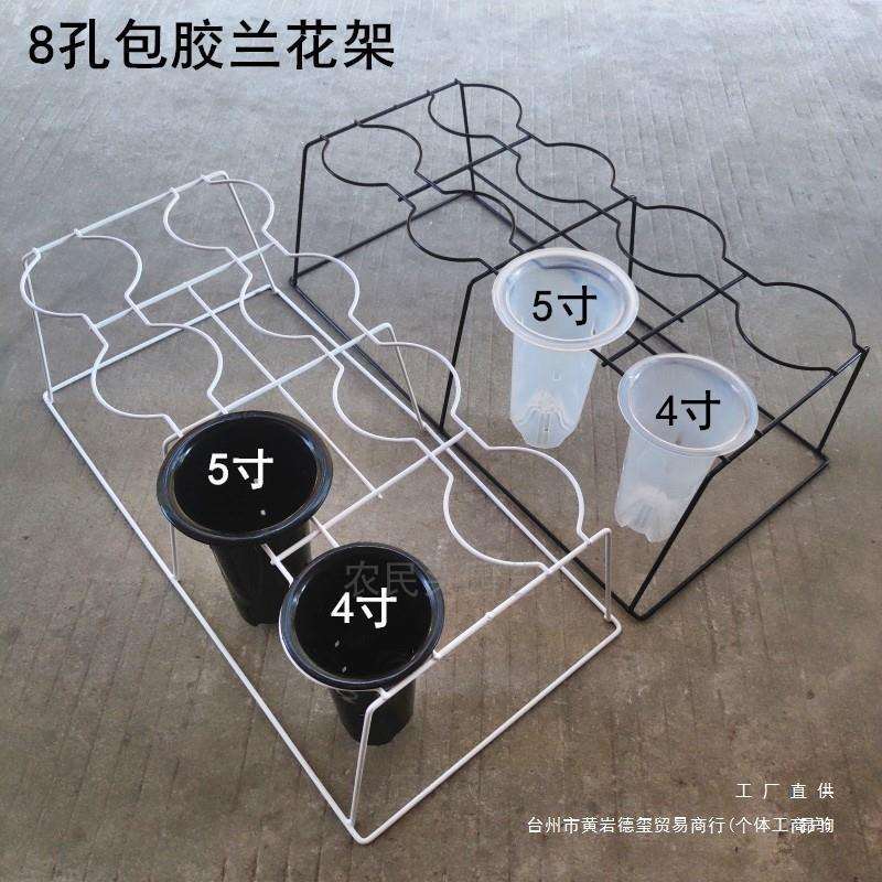 新款8孔兰花花架兰花架子兰草盆架固定花盆支架落地式铁艺兰