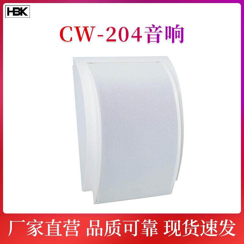 P网络广播教室壁挂音箱商场超市背景音乐壁挂喇叭壁挂扬声器