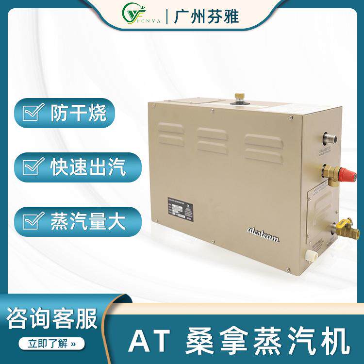 桑拿蒸汽机自动除水垢加热水蒸汽设备湿蒸房AT系列熏蒸仪