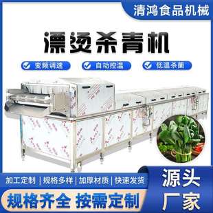 全自动豆角蔬菜漂烫机竹笋蒸煮杀青机桑芽菜山野菜护色设备商用