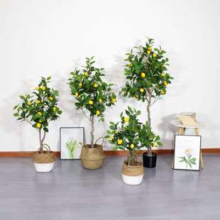 仿真柠檬树盆栽室内装饰绿植盆景家居摆件落地假树大型植物盆栽