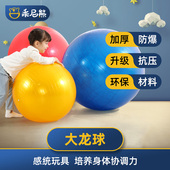 感统训练器材 家用大龙球儿童感统训练前庭失调平衡早教儿童玩具