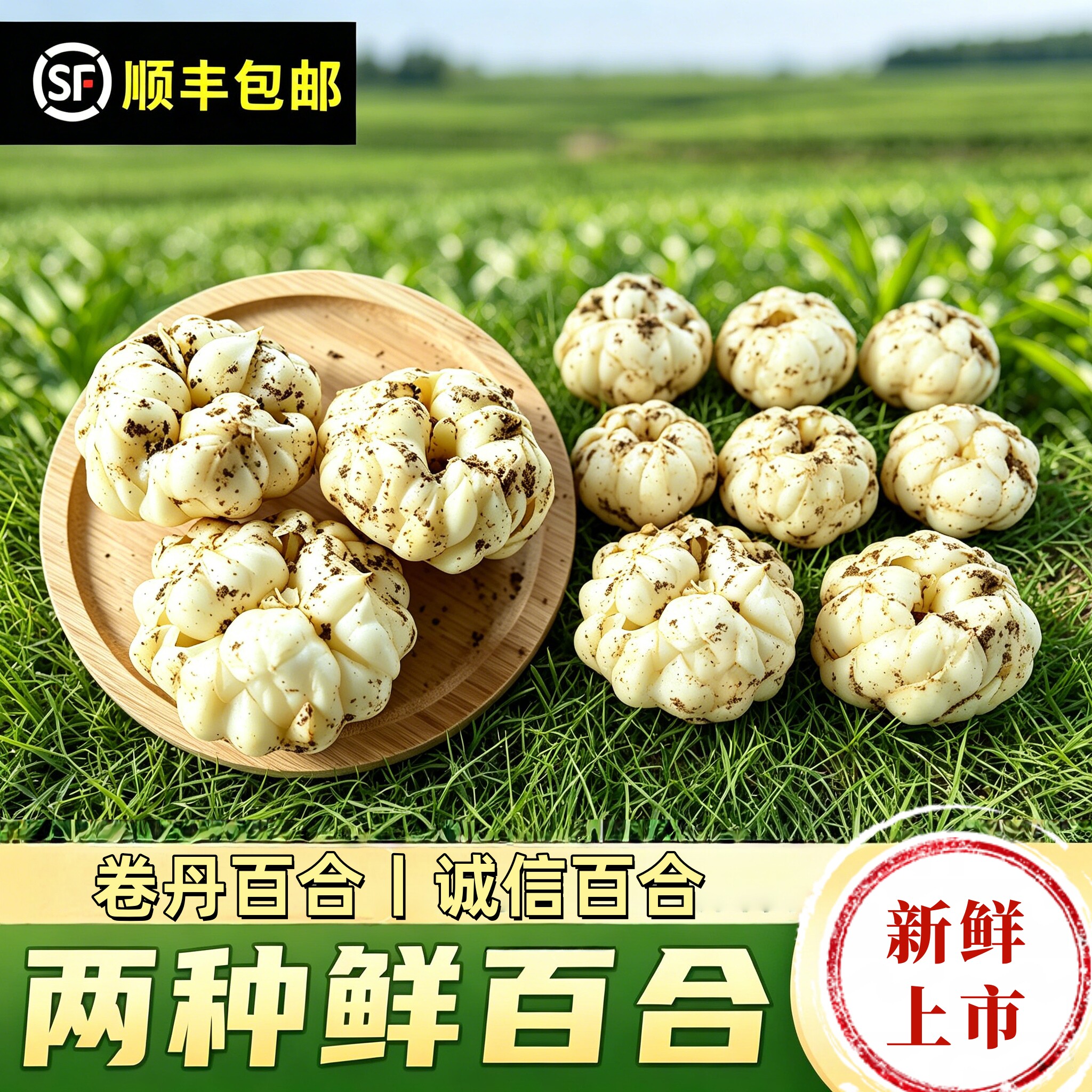 卷丹新鲜百合药食同源微苦