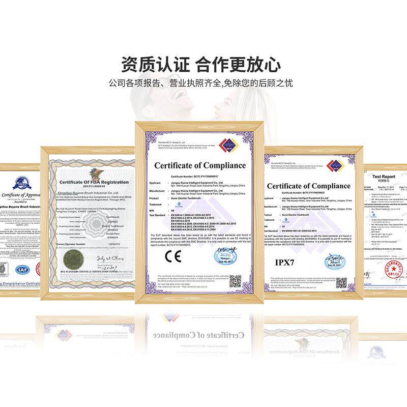 威式士顿磁悬浮电防水声波动牙刷充刷电 跨境电动90717牙成人款