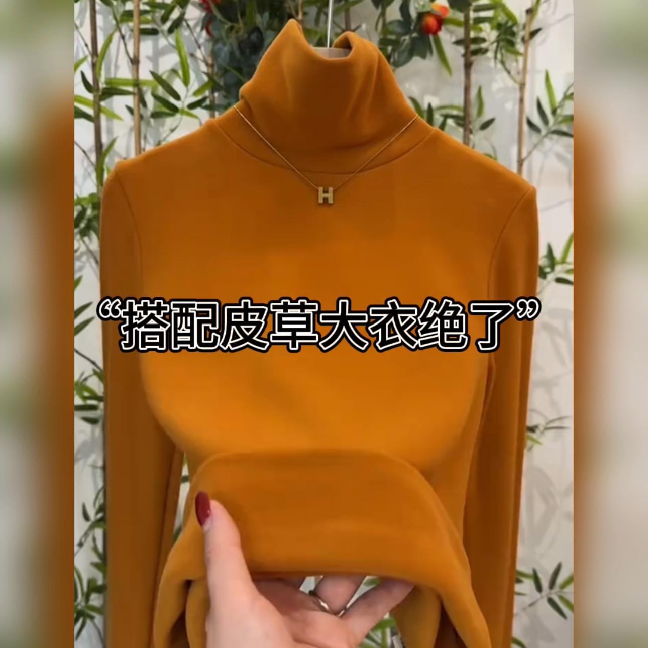 高级感双面澳绒堆堆领巨好看打底衫女内搭加绒保暖高领纯色上衣