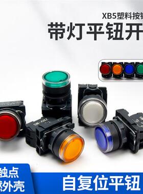 XB5AW33M1C 绿色 带灯平头按钮 XB5AW33Q1C  AC220V