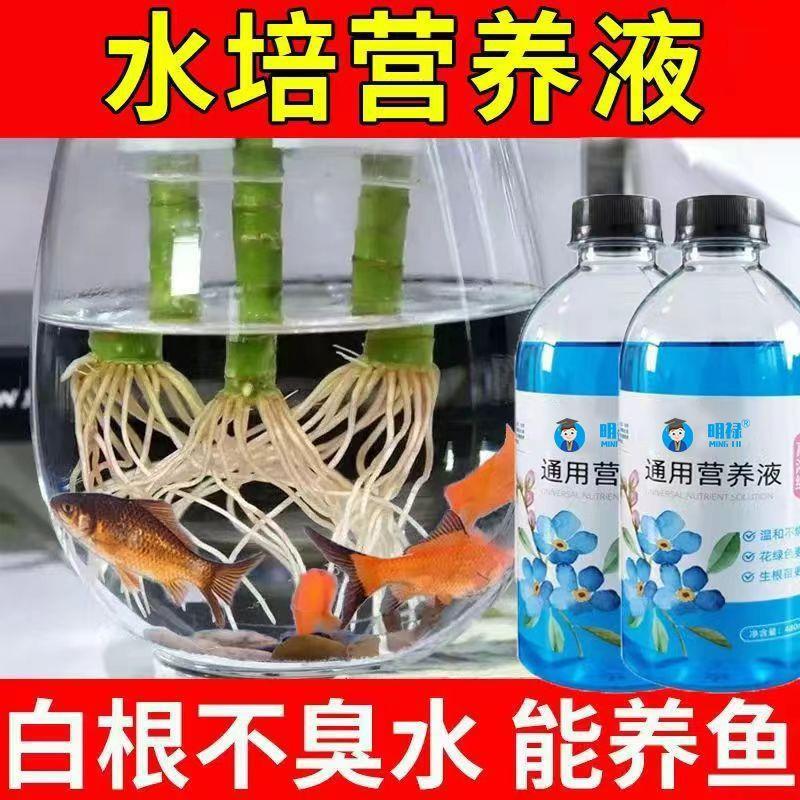 水培植物营养液家用花卉