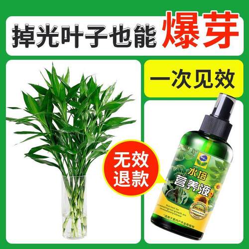 水培植物营养液家用盆栽