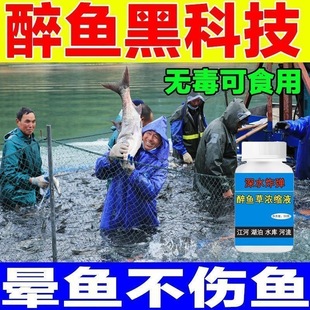醉鱼药特效晕鱼剂不伤鱼鱼用麻醉缺氧封氧剂醉鱼灵捕鱼抓鱼神器G