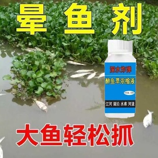 醉鱼药特效深水晕鱼大王神器特晕鱼剂清塘净鱼塘专用药鱼药一扫光