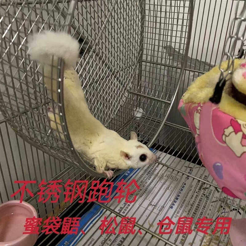 金属不锈钢跑轮静音密袋鼠