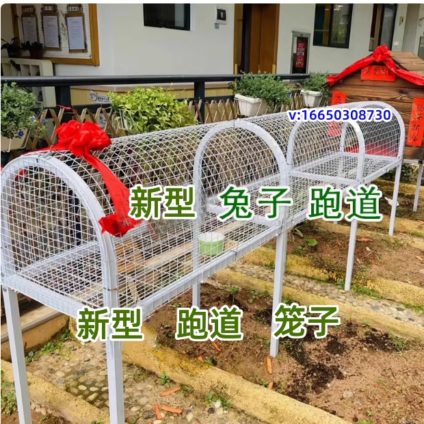 兔笼子豚鼠宠物趣味观光跑道