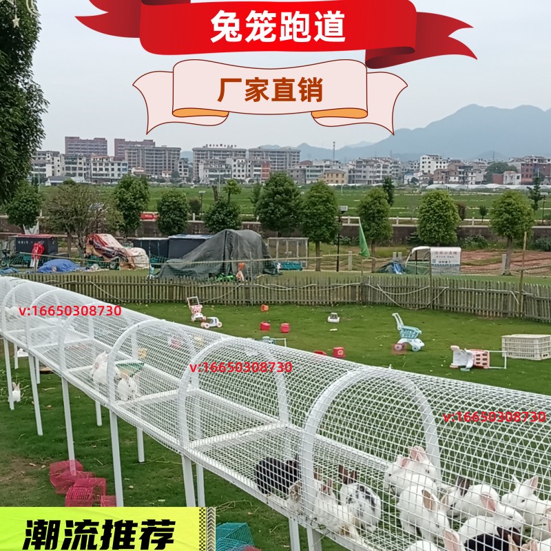 兔笼子豚鼠宠物趣味观光跑道