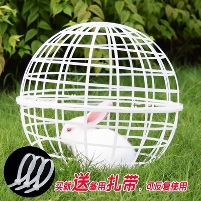 走地鸡笼子可滚动塑料圆形走动觅食鸡笼球形兔笼儿童养小动物圆形