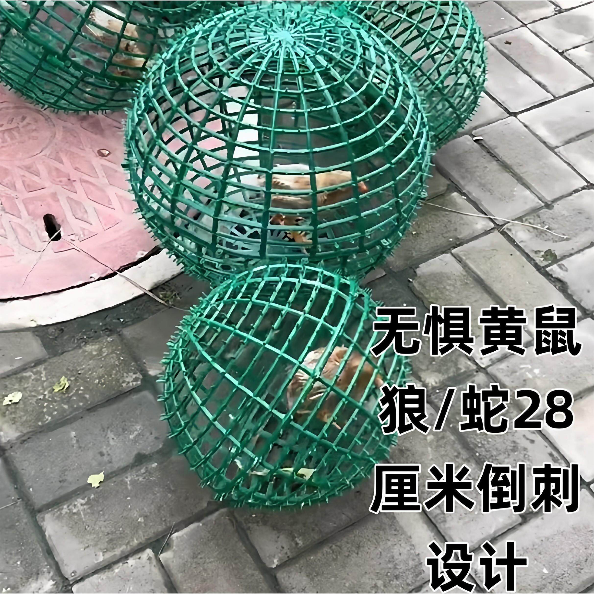 球形鸡笼散养圆可滚动养