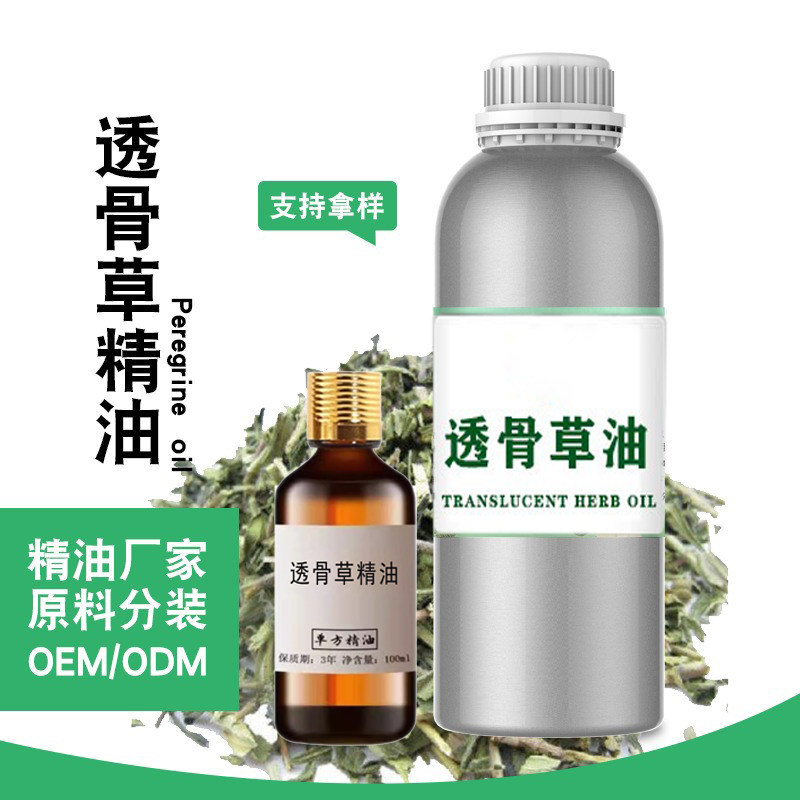 透骨草精油植物提取水蒸气蒸馏按摩用透骨草油舒筋活血散瘀除湿