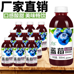 瓶装 蓝莓汁果味饮料整箱口感酸甜秋冬季 宿舍囤货 包邮 新店冲量特价