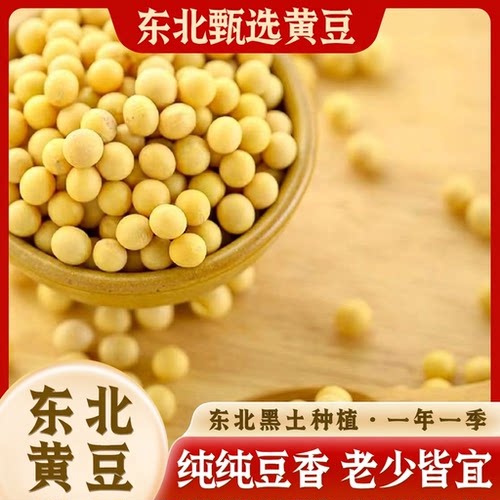 三彩侬东北黄豆大豆非转基因打豆浆生豆芽1/2/5/10斤大粒新豆当季