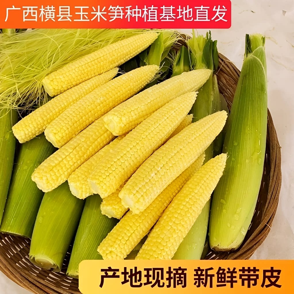 拇指玉米笋新鲜水果玉米迷你玉米笋芯带皮嫩当季现摘9斤10包邮