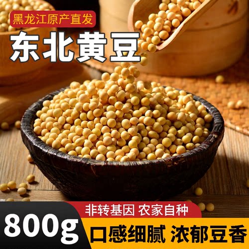 黄豆打豆浆专用三彩侬当季新豆东北农家自种非转基因大豆