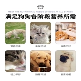 ПЭТ -витаминные таблетки кошки и собаки защищают заболевание заболеваний кожи век, кошки, выпадение волос, собаки для удаления волос, композитное питание