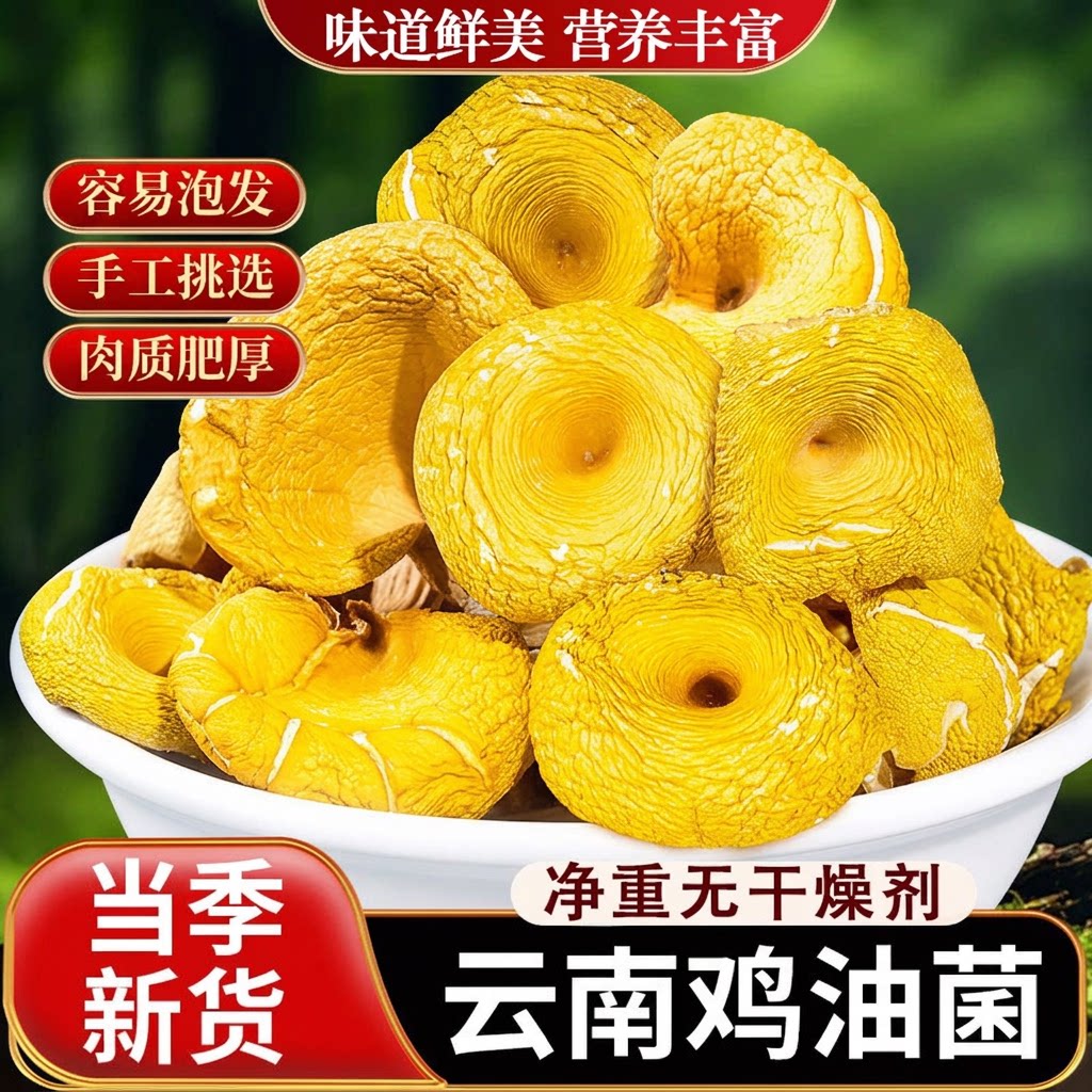 鸡油菌干货特级云南特产菌类菌菇包山新鲜健康煲汤有机营养山珍