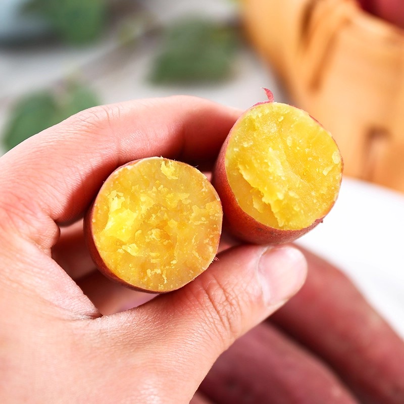 正宗天目农家板栗番薯