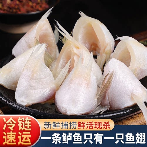 新鲜冷冻鲈鱼翅红烧油炸鱼翅鱼剁椒食材海鲜产品商用批发