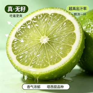 塔西提无籽青柠檬香水柠檬果香新鲜皮薄多汁果园现摘源头大果精选