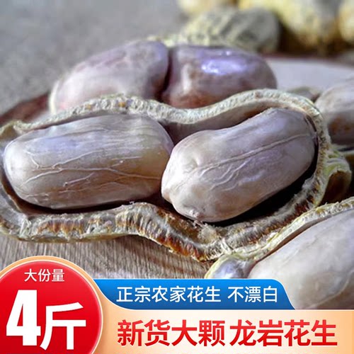 正宗龙岩水煮白晒带壳花生蒜味五香咸干花生坚果零食2000克双享