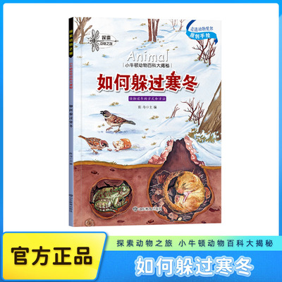 【全彩版】原创手绘插画如何躲过寒冬探索小牛顿动物百科大揭秘科普儿童绘本3到6岁阅读一年级必读4到6岁二三年级课外阅读书籍
