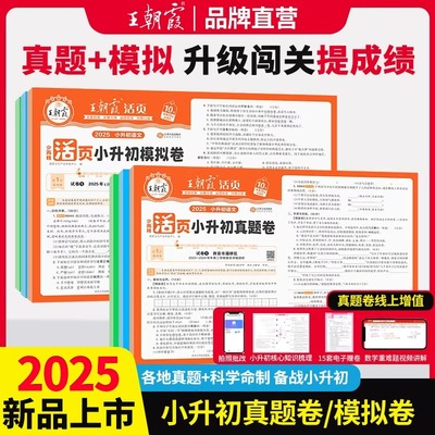 王朝霞2025小升初活页真题卷模拟卷语文数学英语考前突破刷重点密卷套装小学毕业升学六年级毕业总复习各地真题试卷综合能力正版