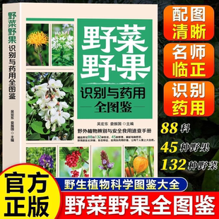 野菜野果识别与药用全图鉴户外采摘野菜野果的种类和功效图鉴书籍野外植物辨别与安全食用速查手册指南中草药图鉴全集