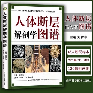 精 山东科学技术出版 CT人体断层局部解剖影像学 刘树伟主编 社 人体解剖学断面解剖学图谱 A人体断层解剖学图谱