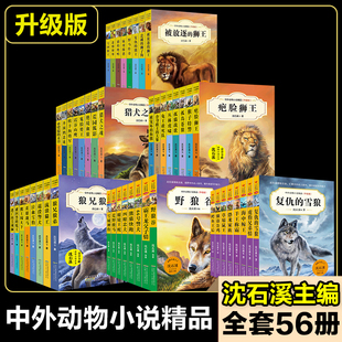 雪狼流浪猫王正版 复仇 书目必读 中外动物小说精品全套56册沈石溪主编三四五六年级小学生课外阅读书籍儿童文学暑假寒假读物经典