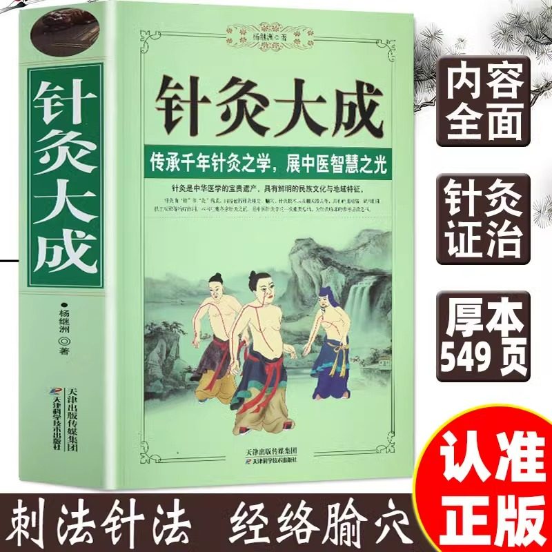 正版 针灸大成 原文集注白话解完整版杨继洲艾灸中医针灸基础理论临床医学大全针灸学全集内经甲乙经校释灸绳董氏奇穴治疗析要书籍